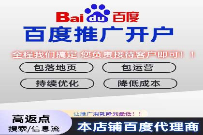 百度竞价包年推广：成功案例解析与效果评估